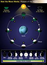 imagesCAOIR750.jpg-phases of the Moon